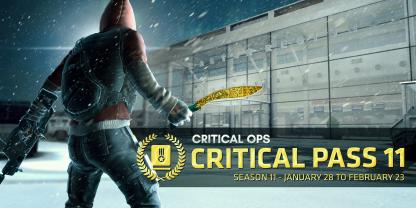 Anniversary Critical Pass 11